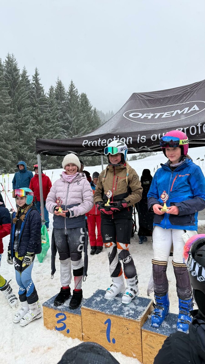 Skifahrer